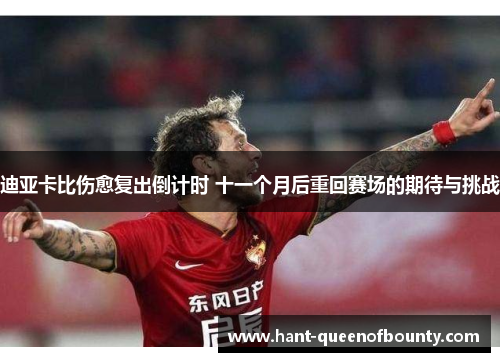 迪亚卡比伤愈复出倒计时 十一个月后重回赛场的期待与挑战