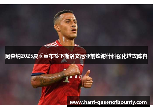 阿森纳2025夏季宣布签下斯洛文尼亚前锋谢什科强化进攻阵容